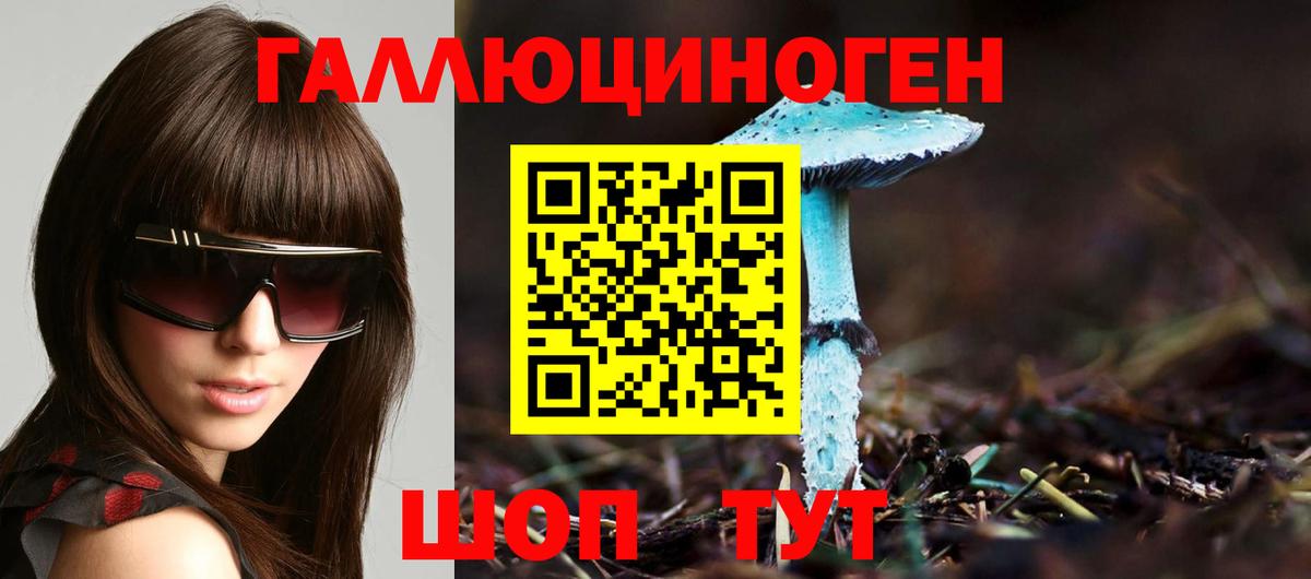 Гатчина  Псилоцибиновые грибы прущие грибы  Вход с VPN 